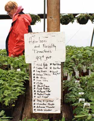 Tomato varieties