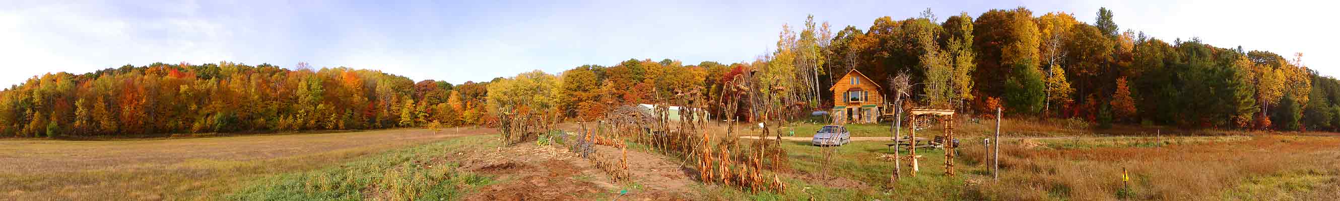 Front Yard Oct 11, 2004