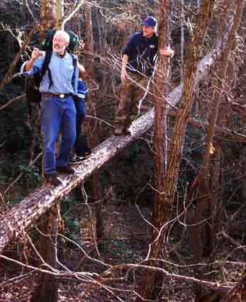 Out on a limb