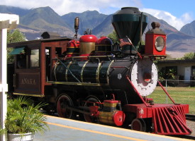 Sugar Cane Train