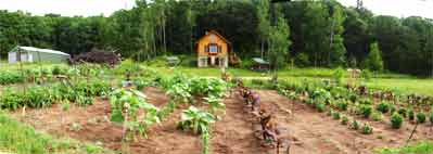 Click for larger picture Garden from South