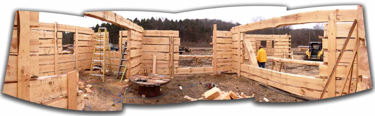 view from kitchen window