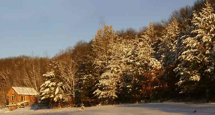 after snowstorm 02Feb2004