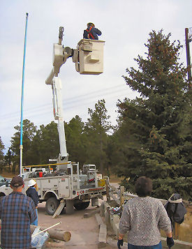 BFCC Xmas Tree