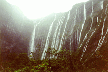 [Picture of Olokele Canyon waterfalls]