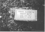 Sarah Haley West tombstone.jpg (242473 bytes)
