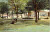 Jackson Michigan Central Park.jpg (174784 bytes)