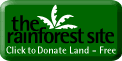 click here to visit the Rainforest Site