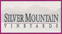 click here to visit Silver Mountain website