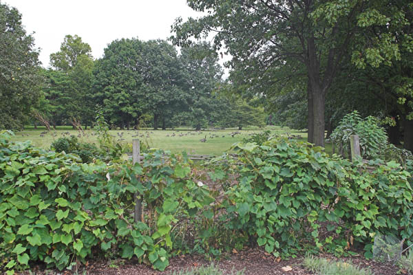 CRW_9134-01