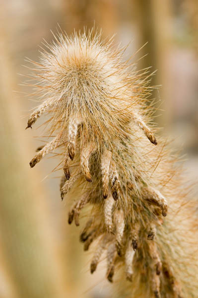 CRW_0110