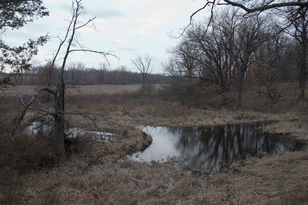 CRW_0293