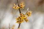 CRW_0059