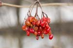 CRW_0066