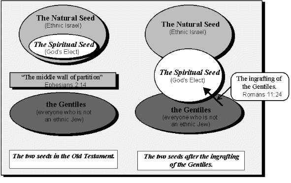 The two seeds of Abraham.