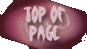 Top of Page