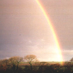 Rainbows are everywhere in Cornwall, this one was right outside our cottage.